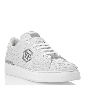 Python Lo-Top Sneakers Sechseck