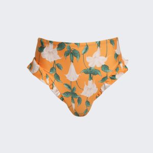 Jengibre American Bikini