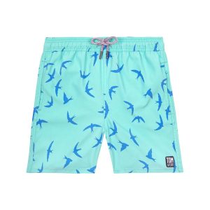 Tom & Teddy Birds Swim kurz